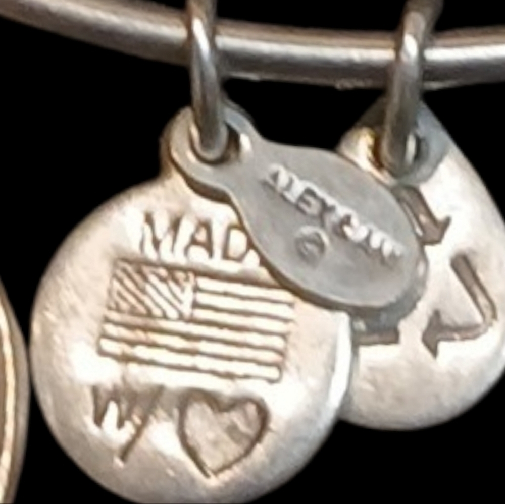 Alex and Ani - Silver Tone Wire Energy Infused Friend Charm Bracelet, Date 2013 - Picture 4 of 10